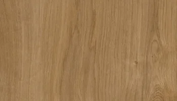 a500-tortana a500-tortana